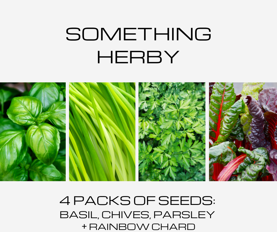 Something Herby 4 Packets of Seeds Basil Chives Parsley Rainbow Chard